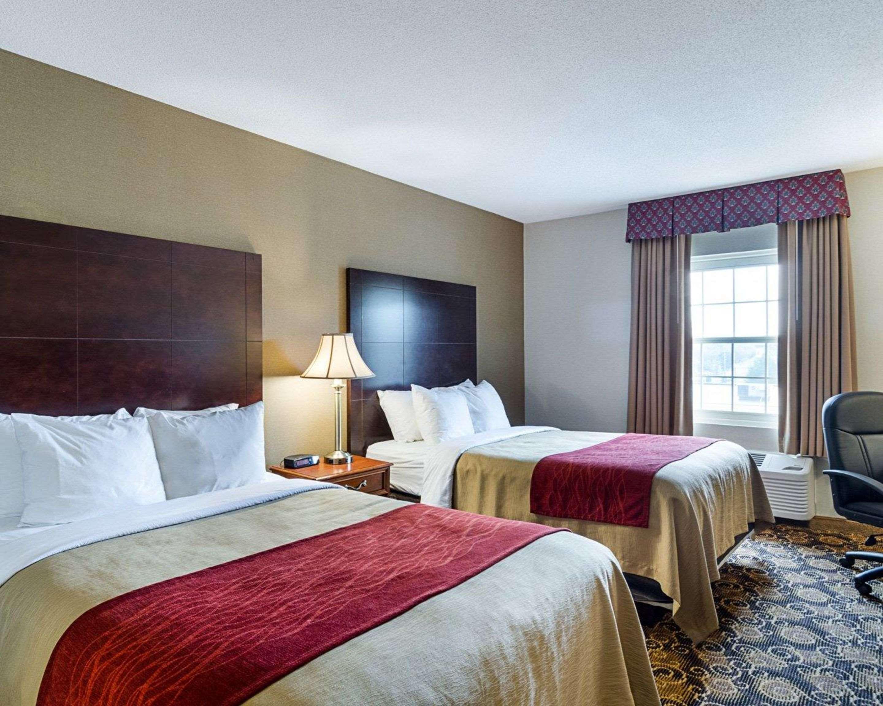 Comfort Inn Rockland - Boston Ngoại thất bức ảnh