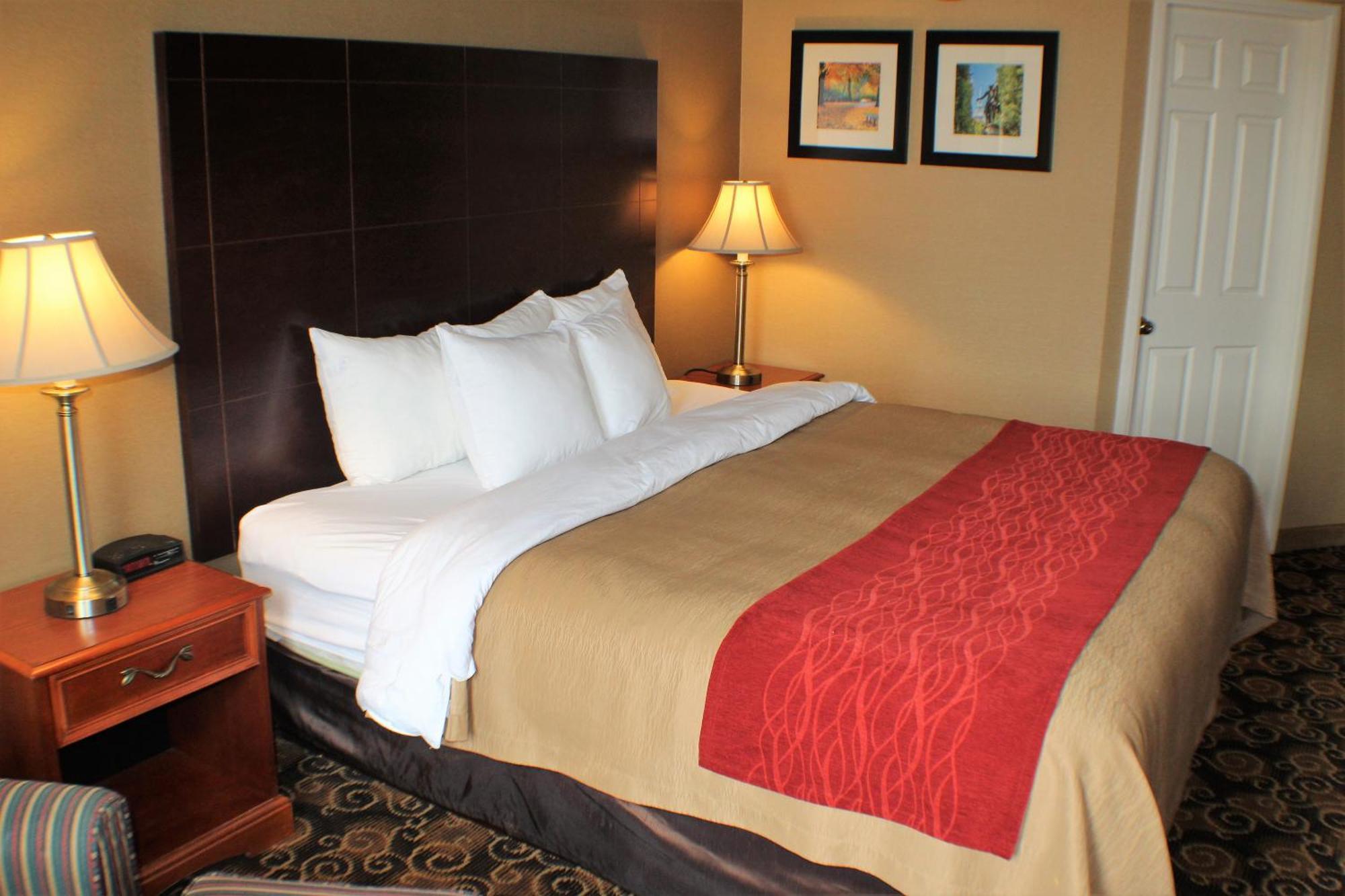 Comfort Inn Rockland - Boston Ngoại thất bức ảnh