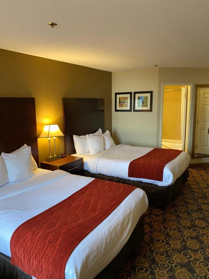 Comfort Inn Rockland - Boston Ngoại thất bức ảnh